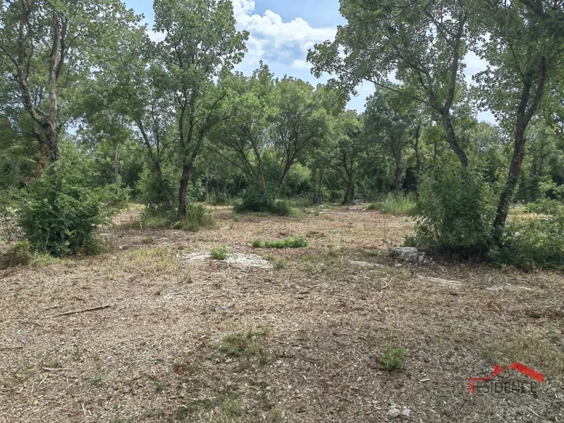 Bale, terreno agricolo in posizione tranquilla – 2