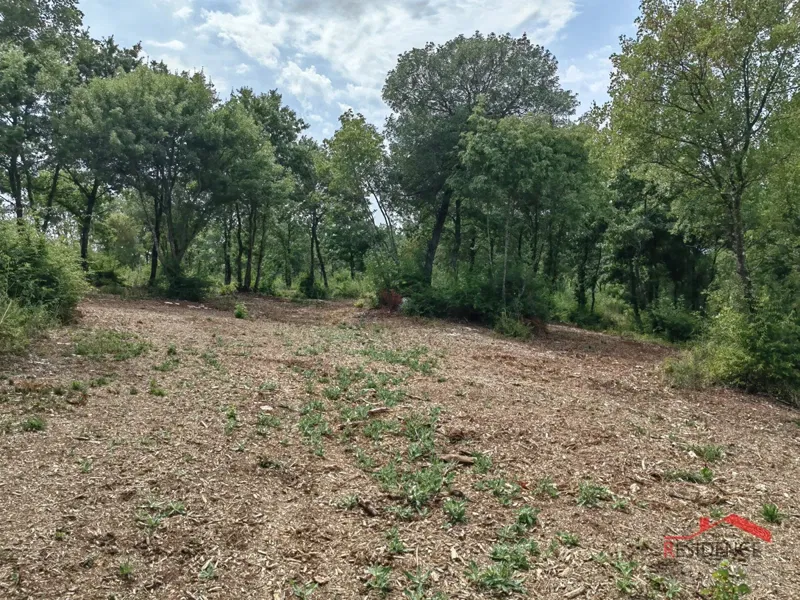 Bale, terreno agricolo in posizione tranquilla – 3