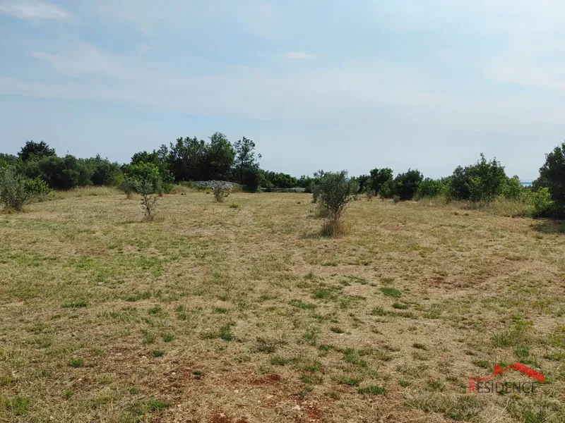 Vodnjan, agricultural land with olive trees – 2