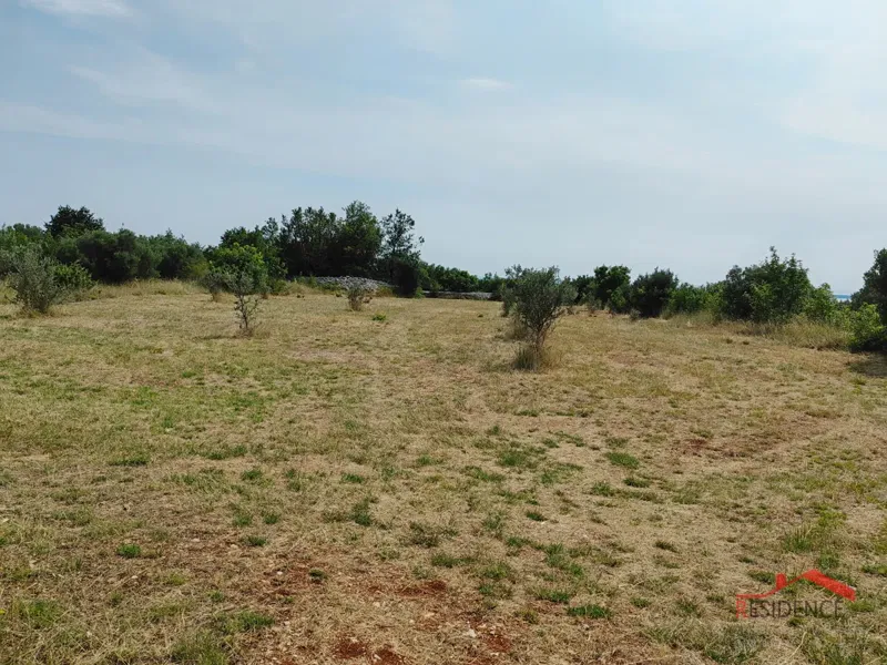 Vodnjan, agricultural land with olive trees – 3
