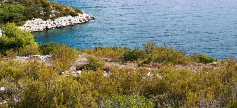 Dom Hvar – 3