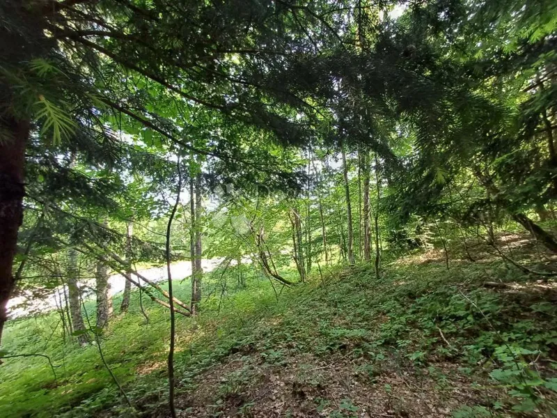Teren budowlany Kupjak, Ravna Gora, 3.725m2 – 3