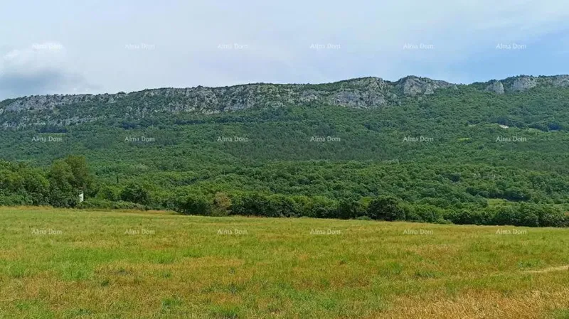 Działka Buzet – 3