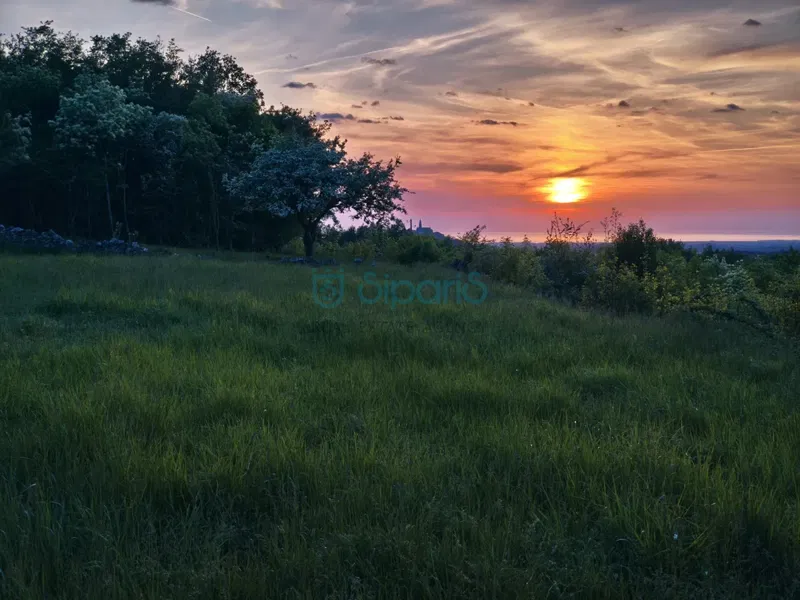 BUJE TRIBAN  GRAĐEVINSKO ZEMLJIŠTE SA POGLEDOM NA MORE