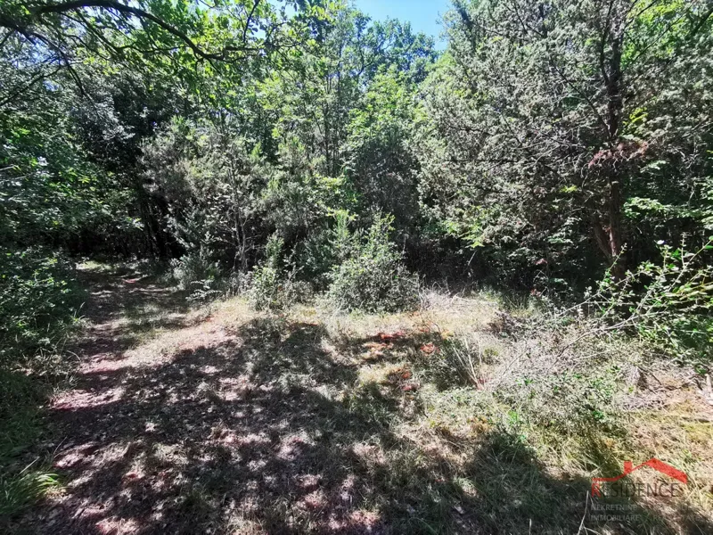 Terreno Pavićini – 3