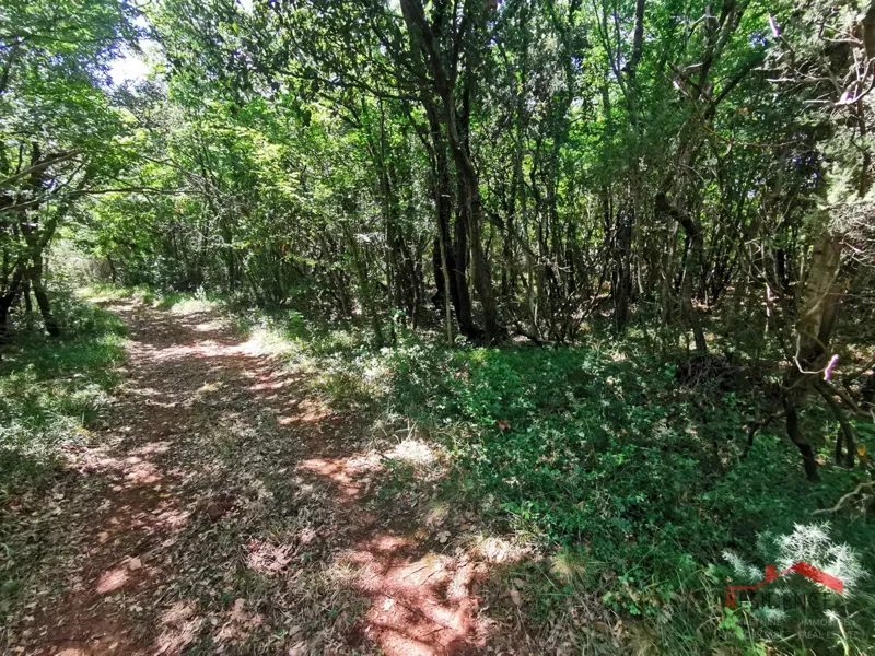 Land Mali Vareški – 2