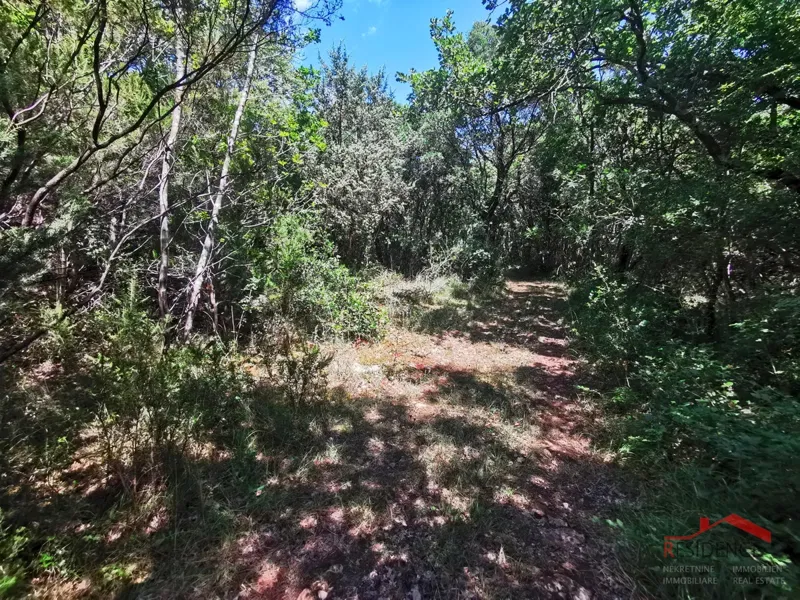 Land Mali Vareški – 3