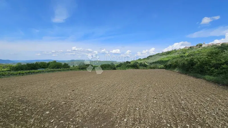 Mezőgazdasági terület Draguć, Cerovlje, 11.030m2 – 3