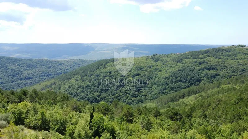 Oprtalj: okolica - prekrasno građevinsko zemljište