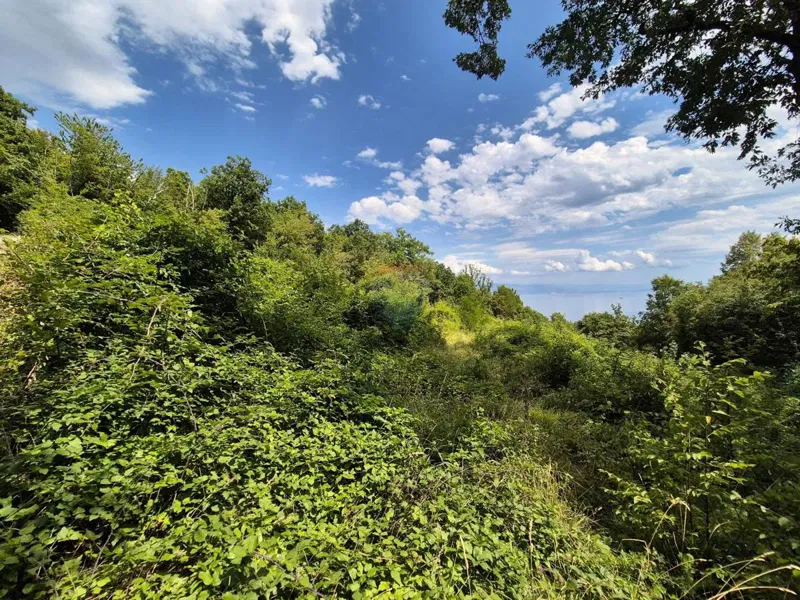 Building plot Veprinac, Opatija - Okolica, 3.304m2 – 2