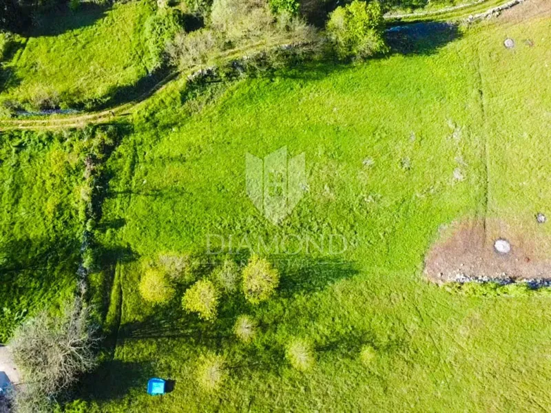 Poreč, surroundings, edge plot with building permit – 2