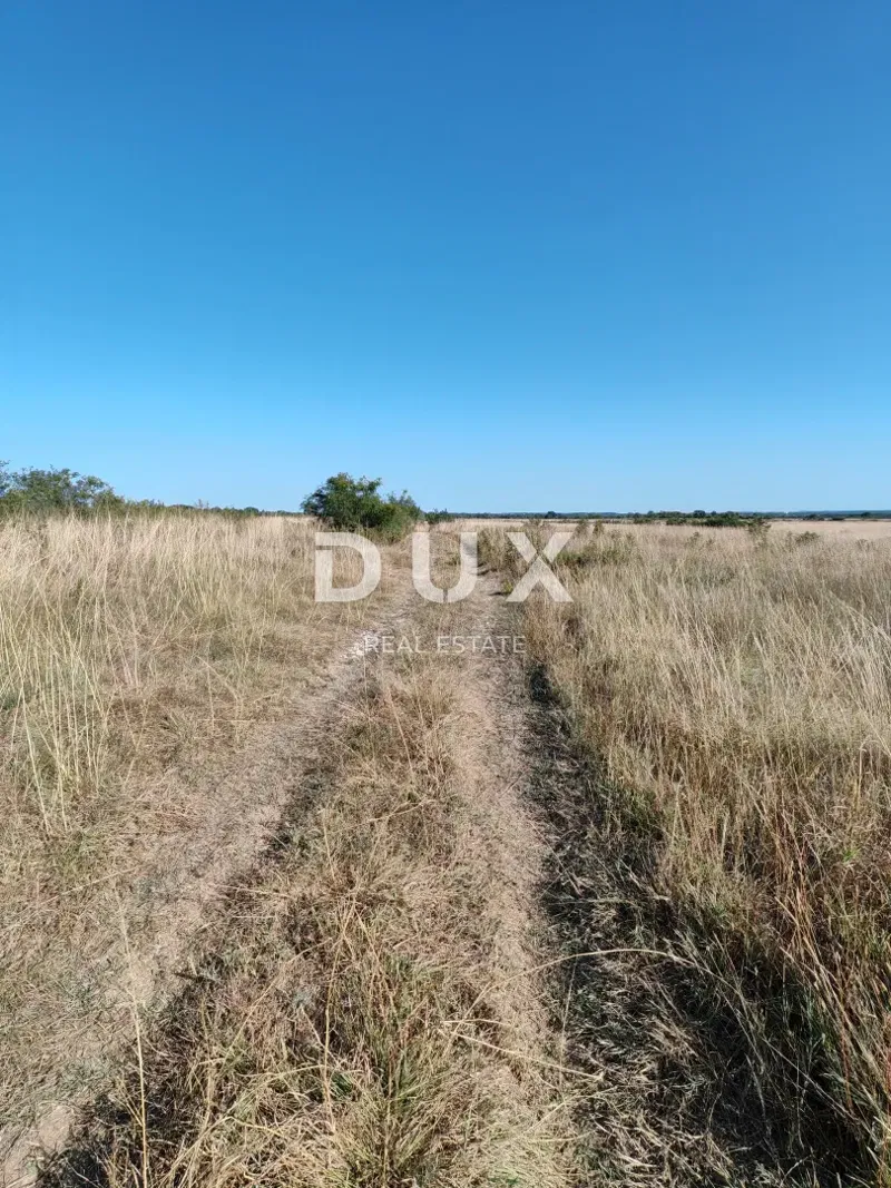 ZADAR, POLJICA - Terreno agricolo in posizione tranquilla! 5752 m2! – 2