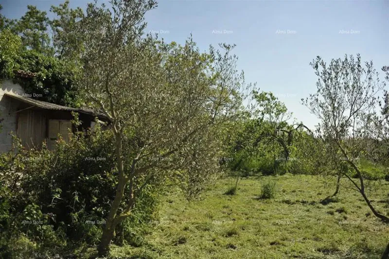 LOBORIKA - Construction and Agricultural Land – 3