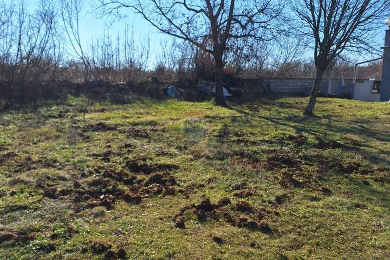 Telek Veliki Vareški – 2