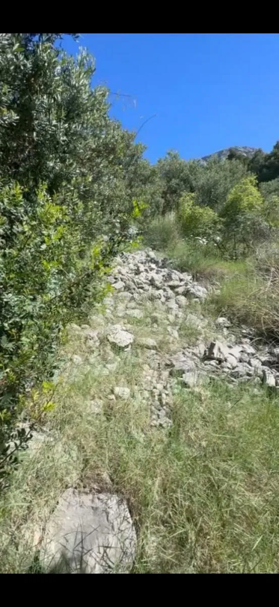 PRODAJA POLJOPRIVREDNOG ZEMLJIŠTA BRIST