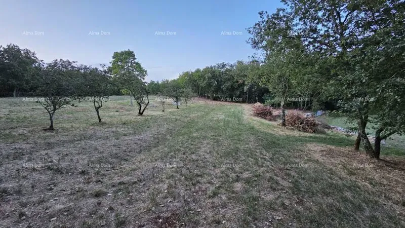 Building land in Tinjane (Istria), 3,623 m² – 2