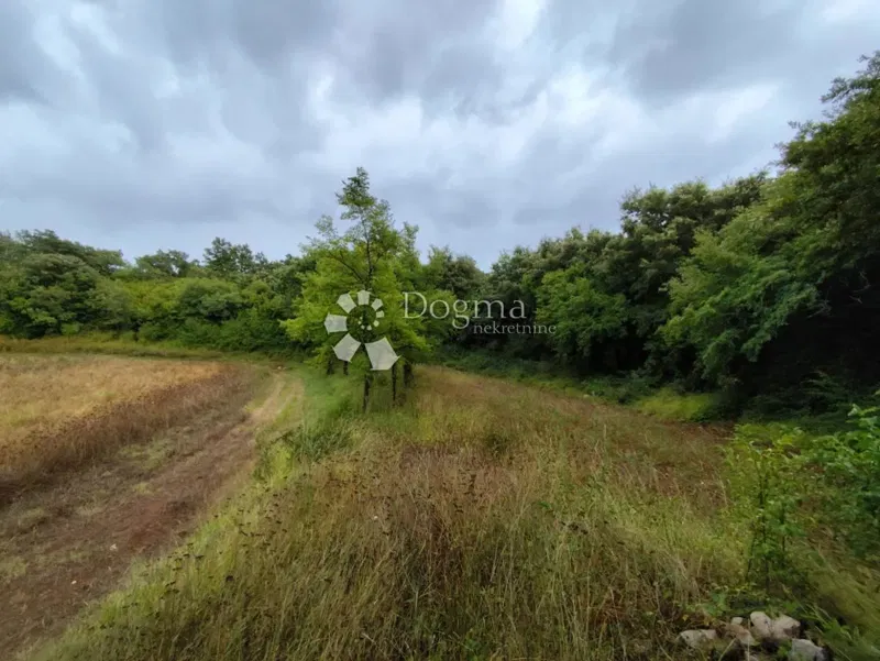 Terreno agricolo Vodnjan – 2