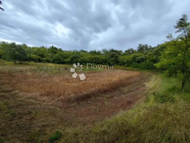 Terreno agricolo Vodnjan – 2