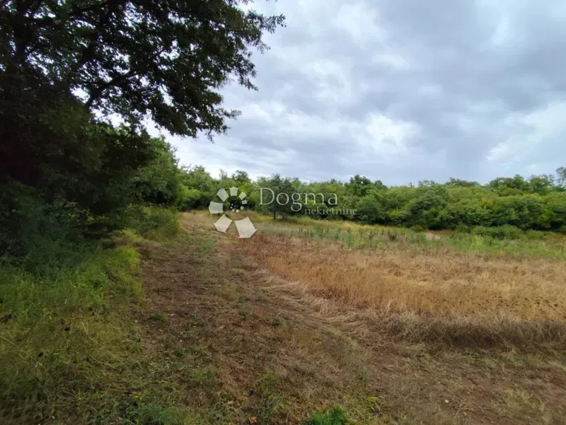 Terreno agricolo Vodnjan – 3
