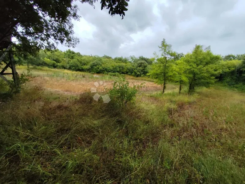 Agricultural land Barbariga, Vodnjan, 3.388m2 – 2