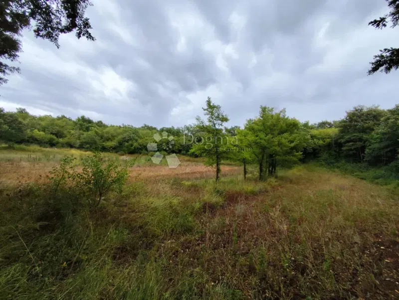 Agricultural land in Vodnjan – 2