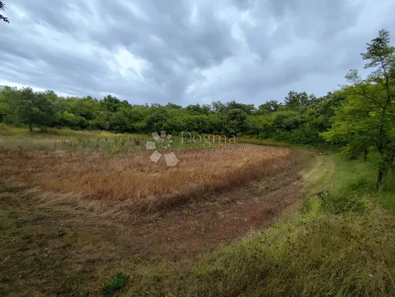 Agricultural land in Vodnjan – 3