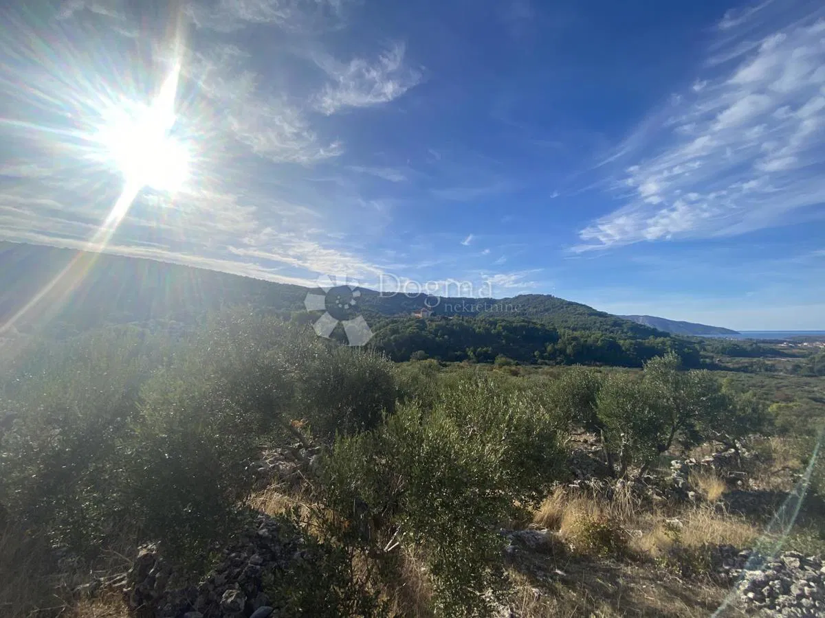 Mezőgazdasági terület Dol, Stari Grad, 1.349m2