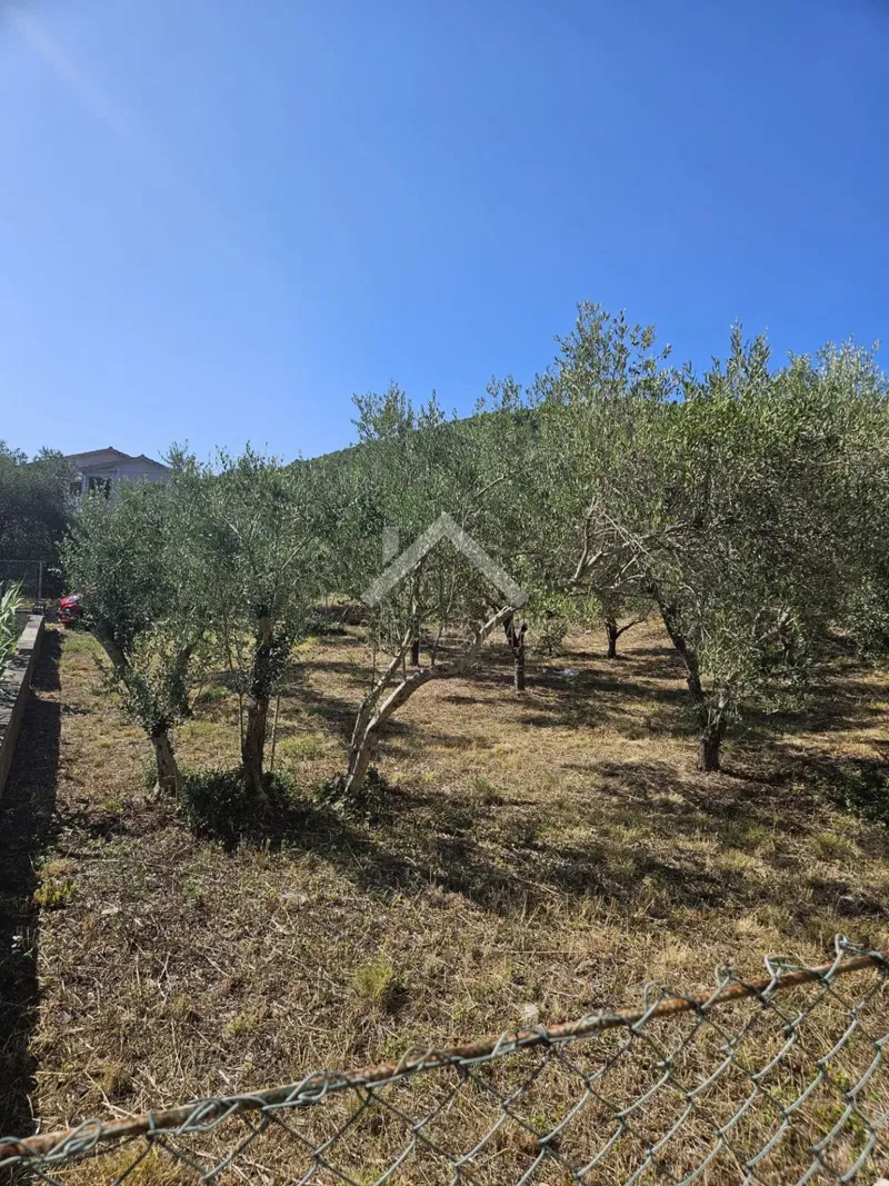 Land Ugljan, Preko, 961m2 – 3