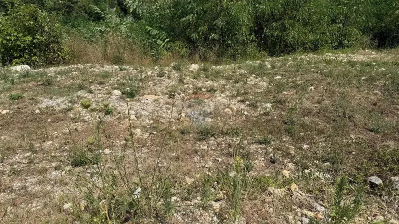 Telek Viškovo – 3
