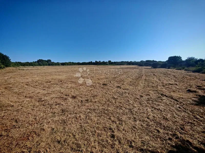 Земля под застройку Marčana, 4.175m2 – 2