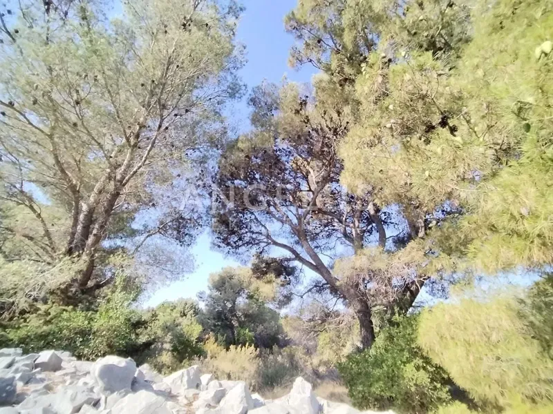 Island Solta - agricultural land with sea view, 6700 m2, FOR SALE – 2