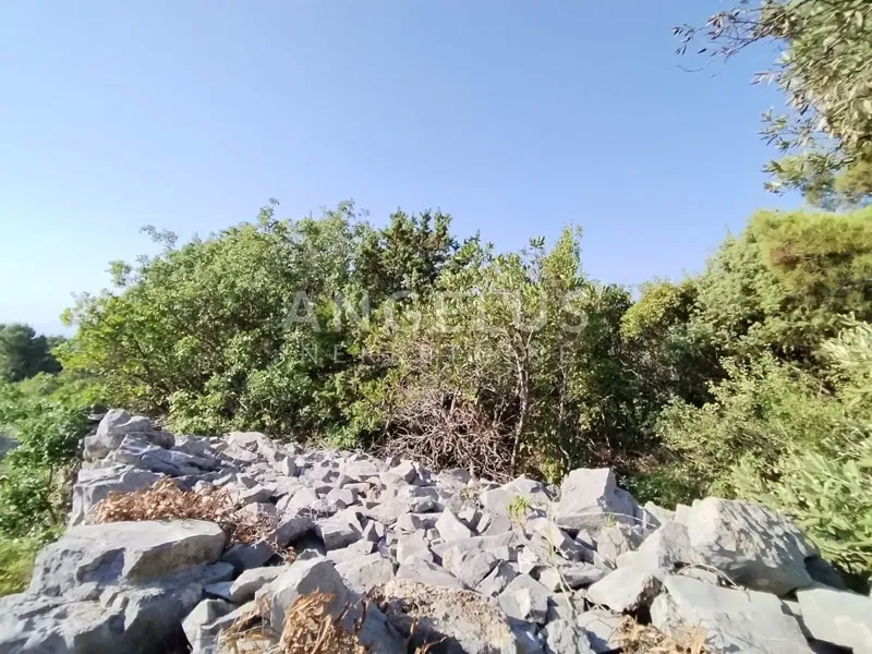 Island Solta - agricultural land with sea view, 6700 m2, FOR SALE – 3