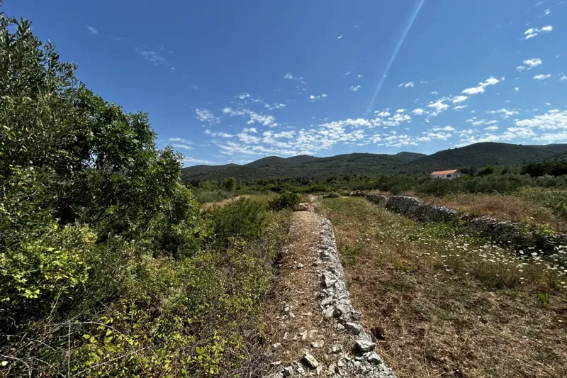 Terreno con vista mare – 2