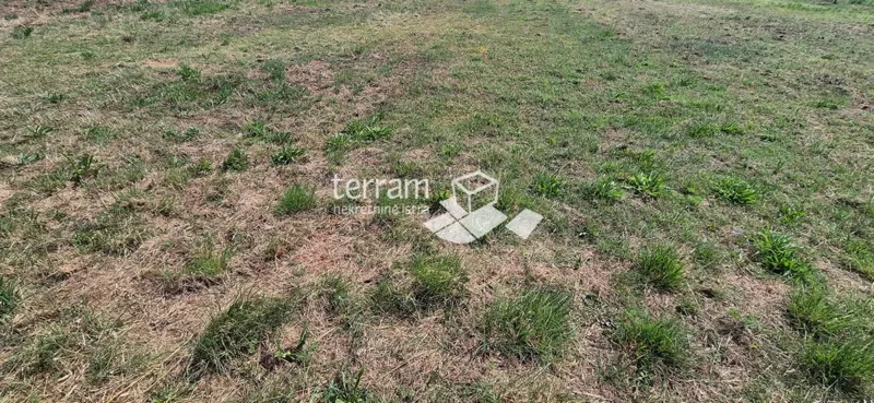 Land Pula – 2