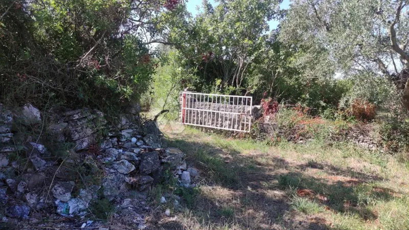 Mezőgazdasági terület Peroj, Vodnjan, 3.759m2 – 3