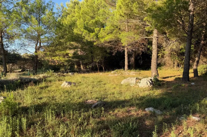 Telek Krk – 3