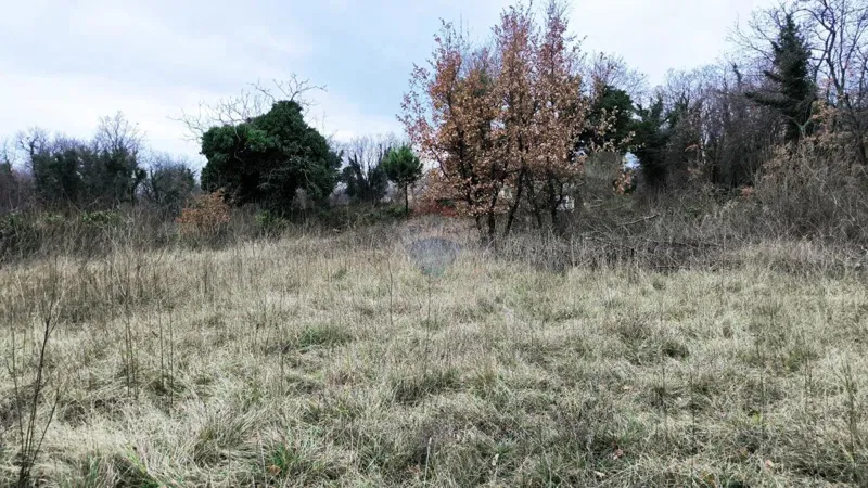 Terreno non edificabile Trget, Raša, 6.101m2 – 2