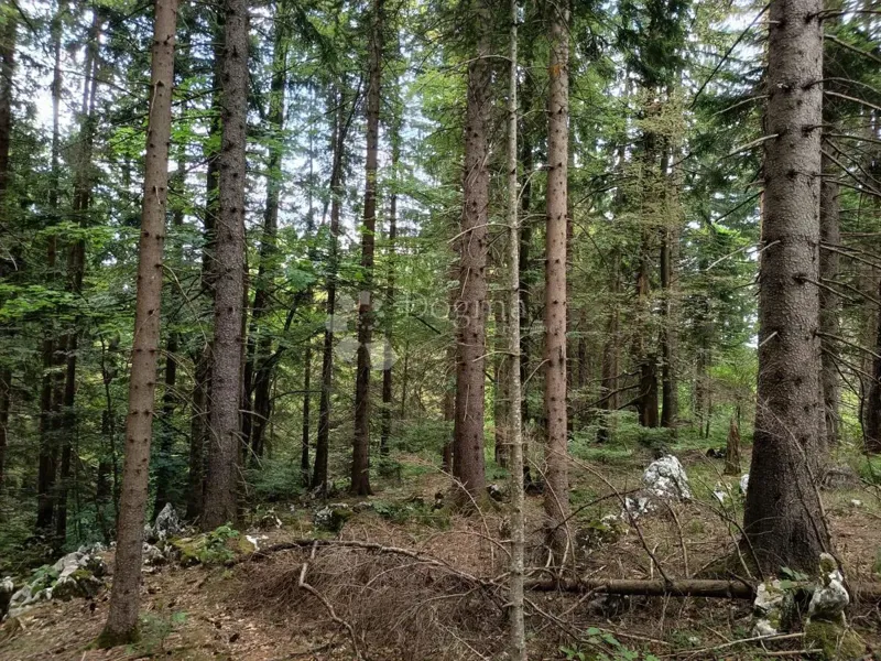 Mezőgazdasági terület Saborsko, 86.421m2 – 2