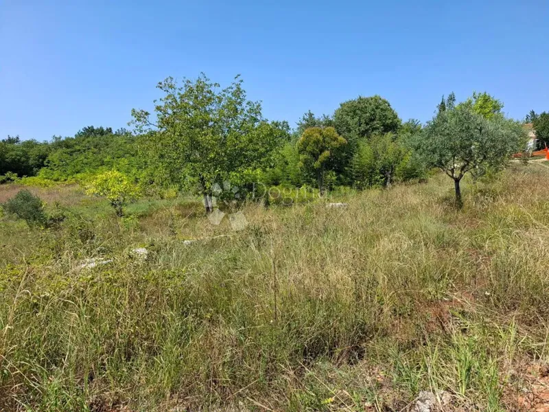 Terreno edificabile Kaštel, Buje, 999m2 – 2