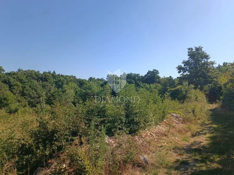 Działka Čabrunići – 2
