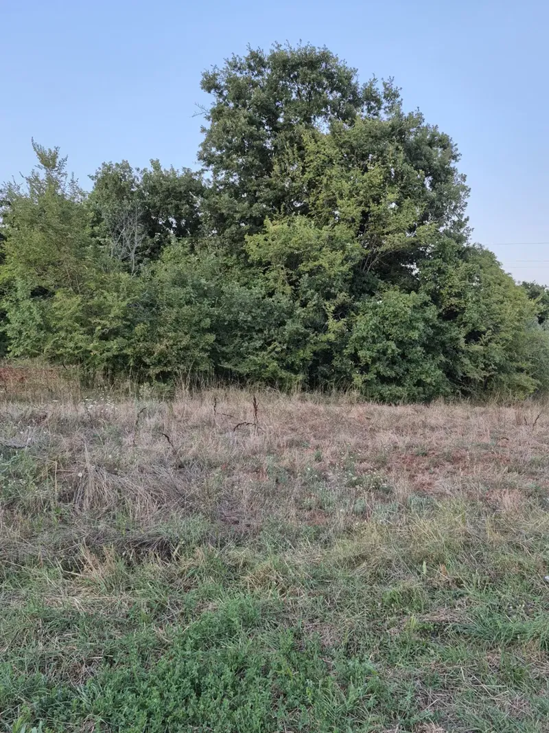 3 ingatlan Šegotiće bejáratánál, 3500 méterre a tengertől – 3