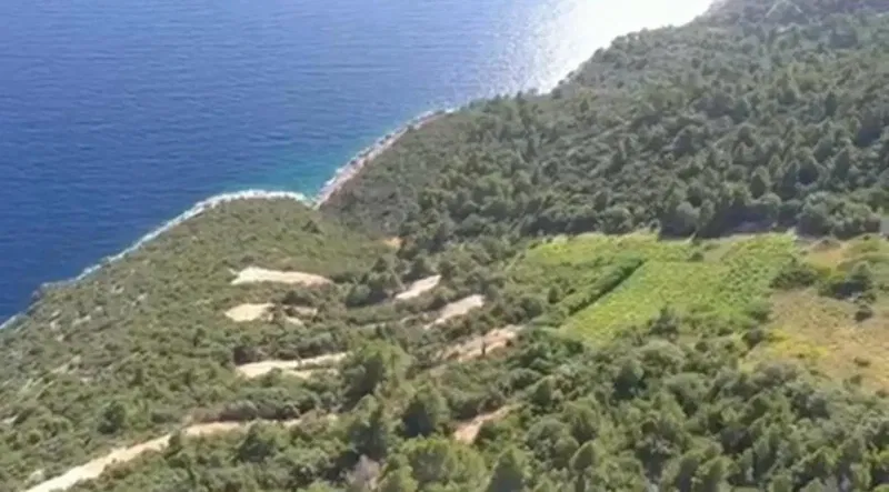 Occasione della Vita – Azienda Agricola nel Cuore di Dingač – 2