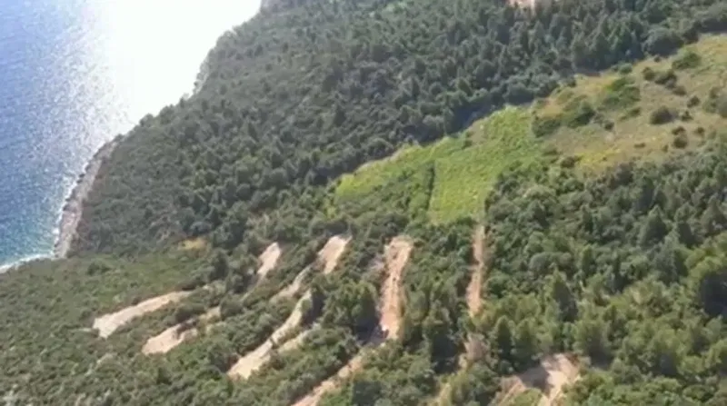 Occasione della Vita – Azienda Agricola nel Cuore di Dingač – 3