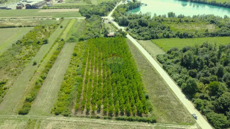 Terreno non edificabile Vukovina, Velika Gorica - Okolica, 8.925m2 – 3