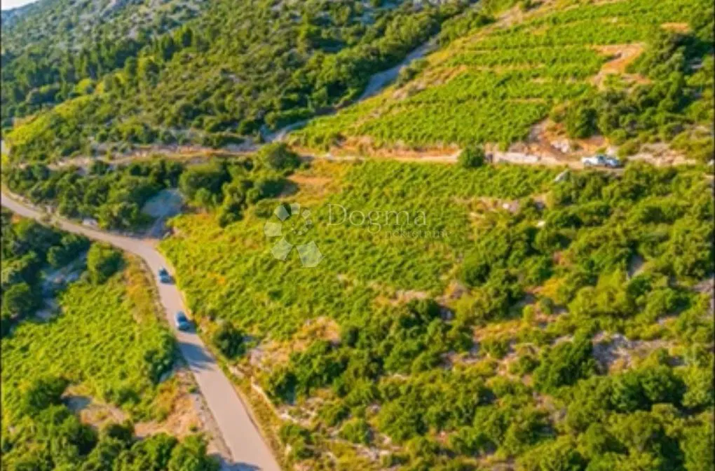 Investicijska prilika - OPG u rajskim vinogradima