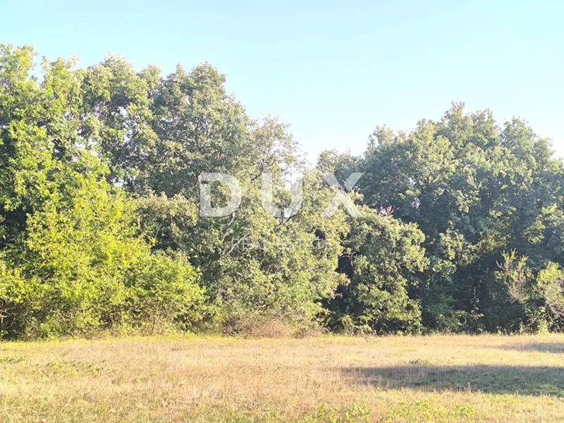 ISTRIA, SVETVINČENAT Terreno agricolo ad uliveto – 2