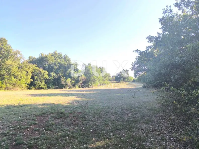 ISTRIA, SVETVINČENAT Terreno agricolo ad uliveto – 3