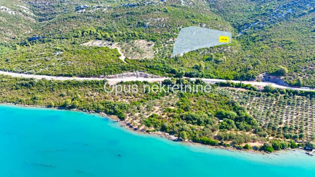 Zaton Doli, Ston - Ruševina 115 m2 u stoljetnom masliniku s pogledom na more i zidine