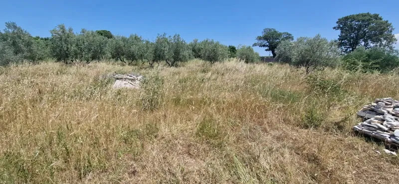 Zadar, Briševo, building land (1108m2) – 2