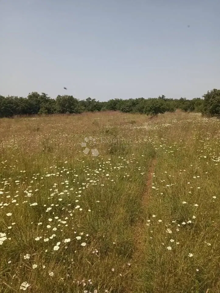 Agricultural Land 47760m2 - Krmed – 2